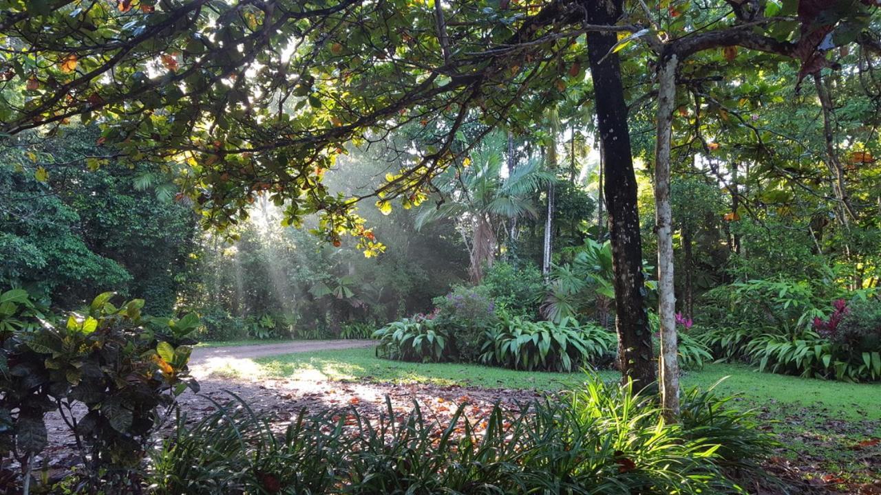 Vila Fanpalm Creek Hideaway Diwan Exteriér fotografie